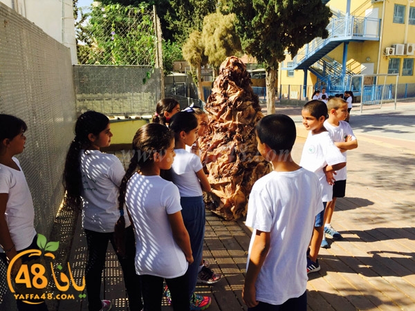 7aj ajayala (21).JPG